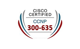 DCAUTO: Automating Cisco Data Center Solutions